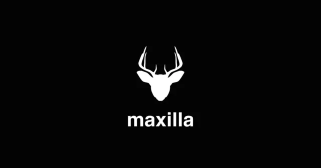 maxilla事業部